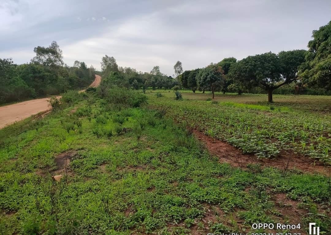 MANANJA COMMERCIAL PLOTS